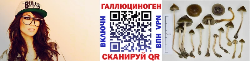 Галлюциногенные грибы MAGIC MUSHROOMS  цена наркотик  Славгород 